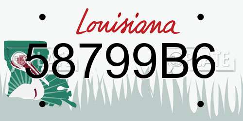 58799B6 Louisiana License Plate
