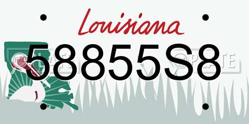 58855S8 Louisiana License Plate