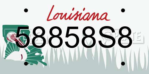 58858S8 Louisiana License Plate