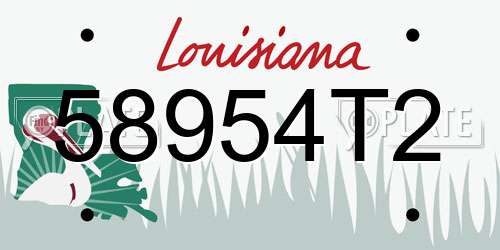 58954T2 Louisiana License Plate