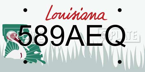 589AEQ Louisiana License Plate