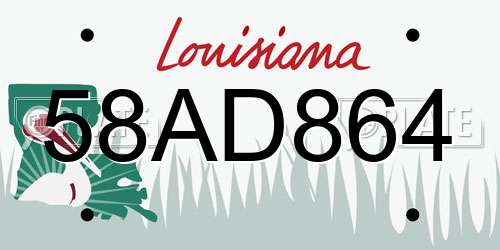 58AD864 Louisiana License Plate
