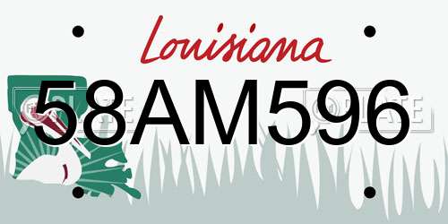 58AM596 Louisiana License Plate