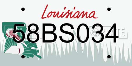 58BS034 Louisiana License Plate