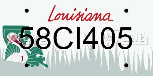 58CI405 Louisiana License Plate