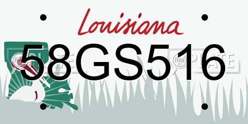 58GS516 Louisiana License Plate