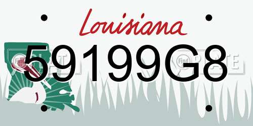 59199G8 Louisiana License Plate