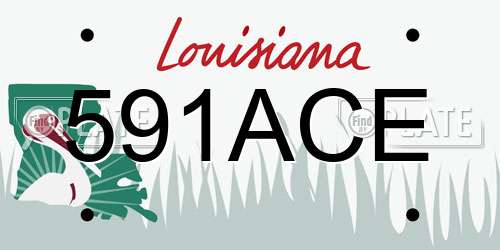 591ACE Louisiana License Plate