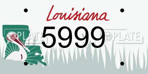5999 Louisiana License Plate
