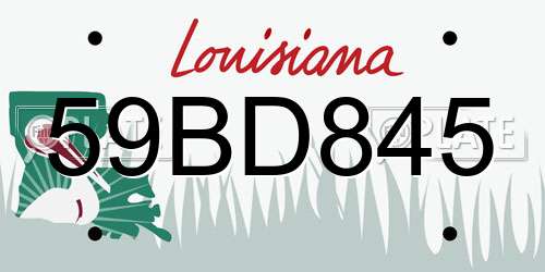 59BD845 Louisiana License Plate