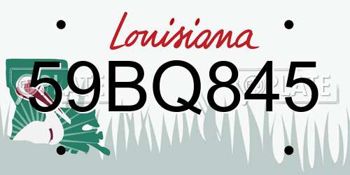 59BQ845 Louisiana License Plate