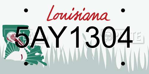 5AY1304 Louisiana License Plate