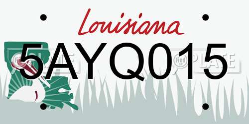 5AYQ015 Louisiana License Plate