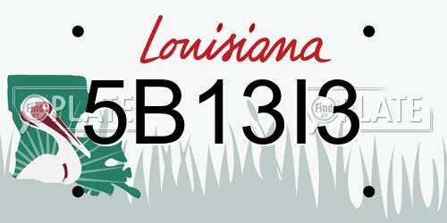 5B13I3 Louisiana License Plate