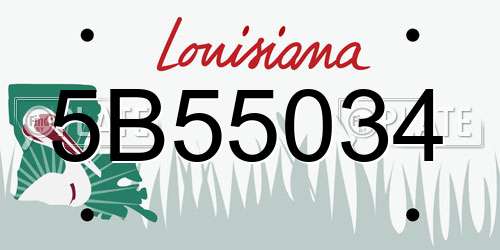 5B55034 Louisiana License Plate