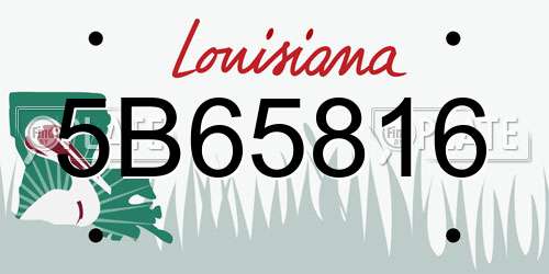5B65816 Louisiana License Plate