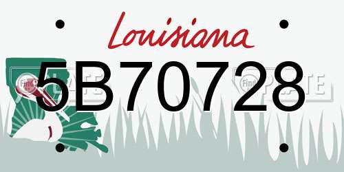 5B70728 Louisiana License Plate