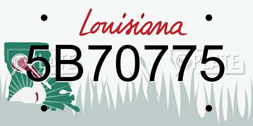 5B70775 Louisiana License Plate