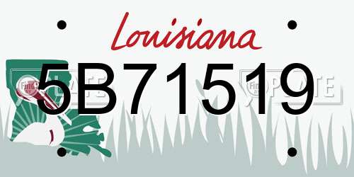 5B71519 Louisiana License Plate
