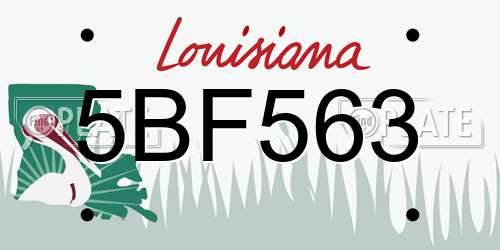 5BF563 Louisiana License Plate