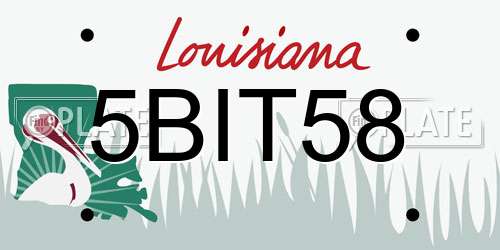 5BIT58 Louisiana License Plate
