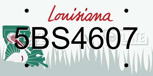 5BS4607 Louisiana License Plate