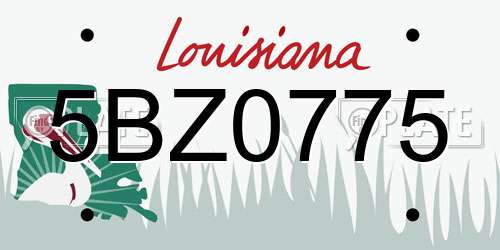 5BZ0775 Louisiana License Plate