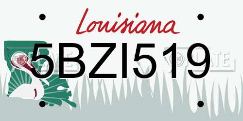 5BZI519 Louisiana License Plate