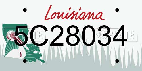 5C28034 Louisiana License Plate