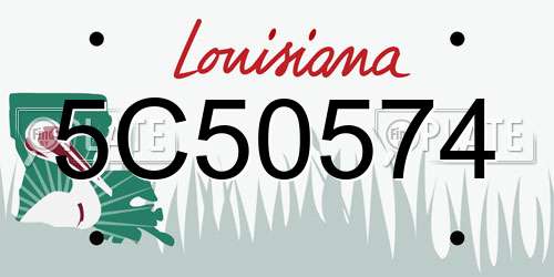 5C50574 Louisiana License Plate