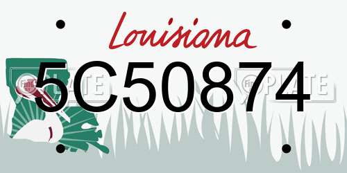 5C50874 Louisiana License Plate