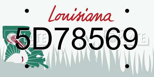 5D78569 Louisiana License Plate