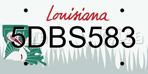 5DBS583 Louisiana License Plate