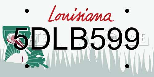 5DLB599 Louisiana License Plate