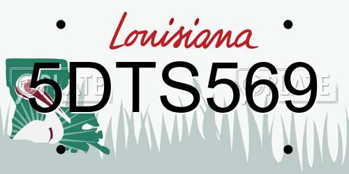 5DTS569 Louisiana License Plate