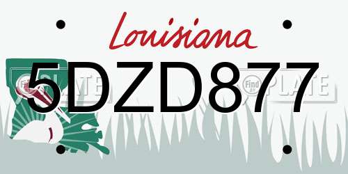5DZD877 Louisiana License Plate