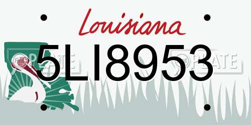 5LI8953 Louisiana License Plate