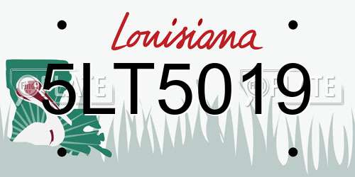 5LT5019 Louisiana License Plate