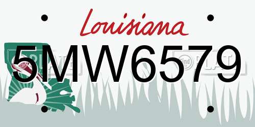 5MW6579 Louisiana License Plate