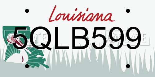 5QLB599 Louisiana License Plate