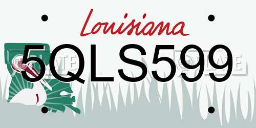 5QLS599 Louisiana License Plate
