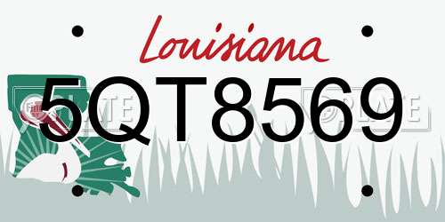 5QT8569 Louisiana License Plate