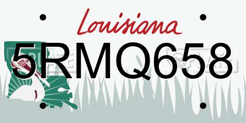5RMQ658 Louisiana License Plate