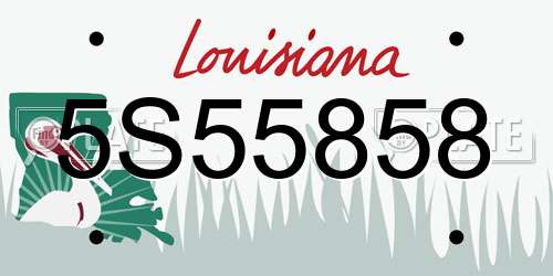 5S55858 Louisiana License Plate