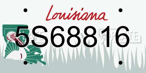 5S68816 Louisiana License Plate