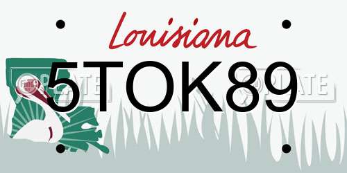 5TOK89 Louisiana License Plate