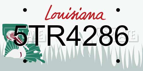 5TR4286 Louisiana License Plate