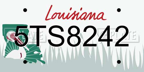 5TS8242 Louisiana License Plate