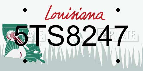 5TS8247 Louisiana License Plate