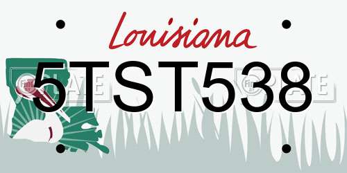 5TST538 Louisiana License Plate